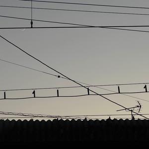 若理解使你振作 (feat. LilCodyIsDead!)