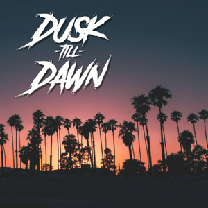 Dusk Till Dawn(feat.Samantha Harvey)