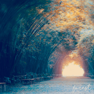 June (Tchaikovsky):6월. 뱃노래 (Arr. by laRuah)