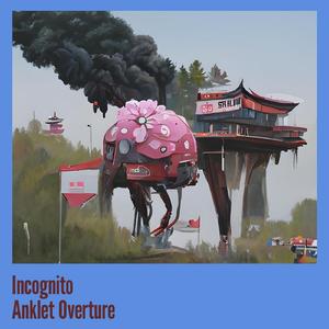 Incognito Anklet Overture