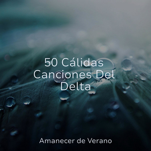 Abrazo Solitario Bajo la Luz del Sol