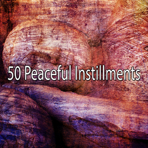 平靜的夜晚休息