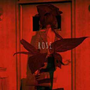 都是玫瑰先动的手