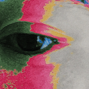 天亮前我才刚刚睡