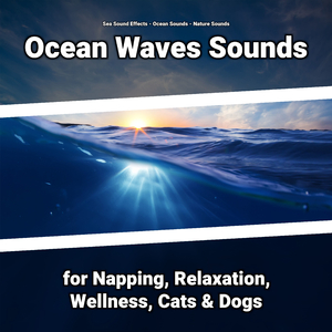 Ocean Sounds