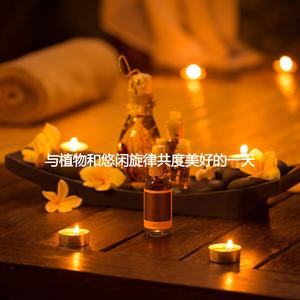 Modern Ambiance for Rainy Days and Inspiration