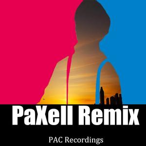 只因你太美(PaXell remix)