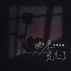 如果爱忘了 (烟嗓版)
