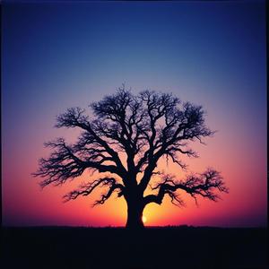 När ljuset slocknar