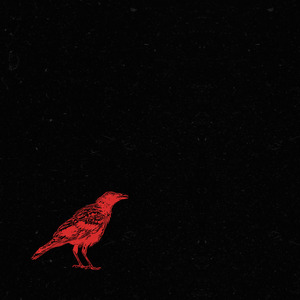 Follow Lonely Crowds as Clouds Will Come