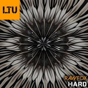 Hard (Original Mix)