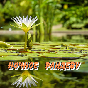 НОЧНОЕ РАНДЕВУ