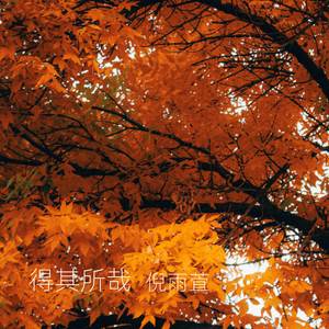 富贵荣华 (remix)