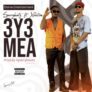 3y3 Mea
