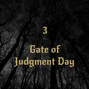 What the Hide This Mirrors