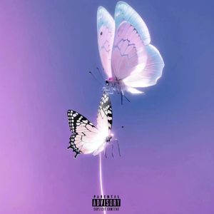 遗憾是爱的代表作