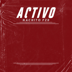 ACTIVO