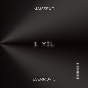 1 Yıl