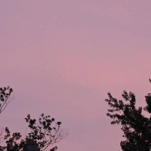 静悄悄（翻自 大泫）