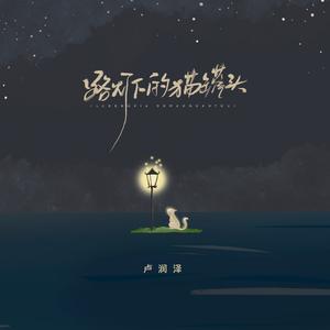 路灯下的猫罐头