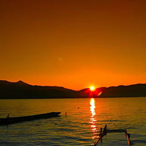 Watcher（守望者）