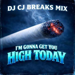 I'm Gonna Get You High Today (Breaks Edit)