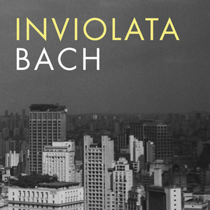 Sonata in G minor, BWV 1029: I. Vivace