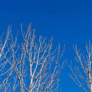 相交线(Prod.空空壹)