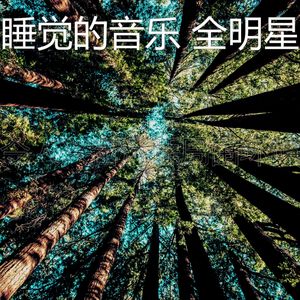 柔和的沉睡时刻