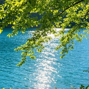 夏（summer）