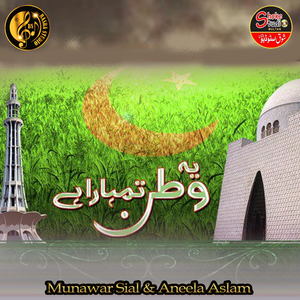 Yeh Watan Tumhara Hai (1)