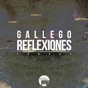 Reflexiones (Original Mix)