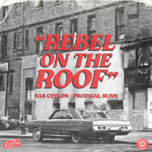 Rebel on the Roof
