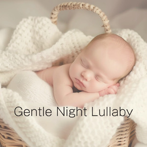 優しいギターと焚き火