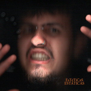 Estéticas estáticas