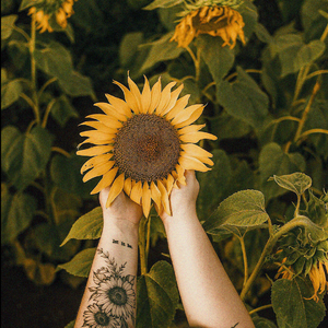 【FREE】Lo-fi Chill Beat