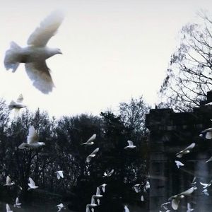 上了年纪的男人（DJ版）