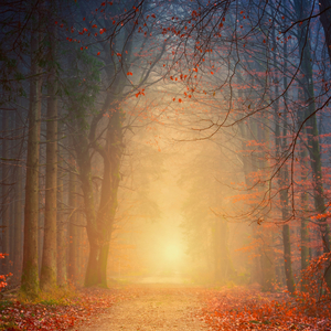 Deep Relaxation Body Scan for Stress & Sleep Guided Meditation Journey to Tranquility