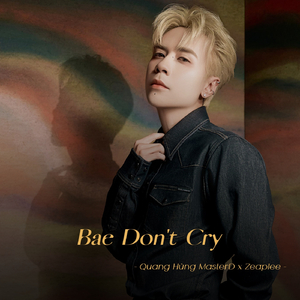 Bae Don't Cry (Lofi)