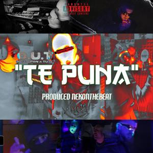 Te Puna (feat. Vako)