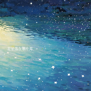 星星落在那片海