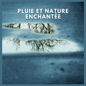 Pluie et Nature Enchantée (p60)