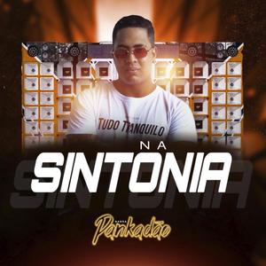 Pankadão Na Sintonia