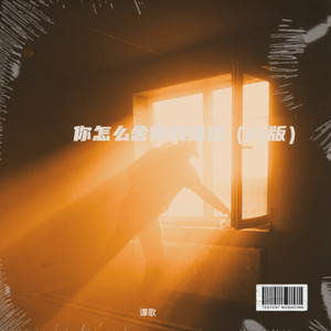 你怎么舍得我难过 (DJ版)