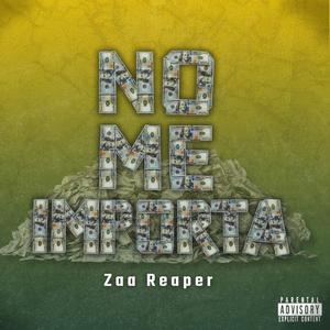 No Me Importa