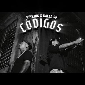 Códigos