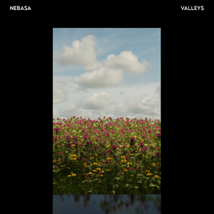 Valleys (Need You)