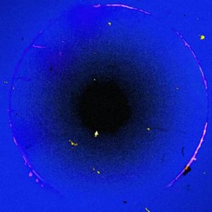 以什么身份爱你