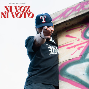Ni Voz, Ni Voto