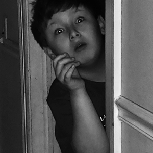 Hydrangea All Over The Hollywood Hills